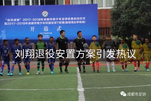 刘翔退役安置方案引发热议